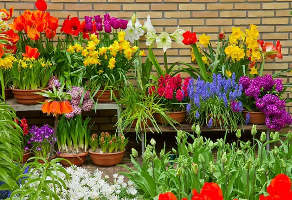 Flower garden ideas for small yards - 1001 Gardens